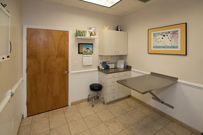 Jonesville Animal Hospital 6