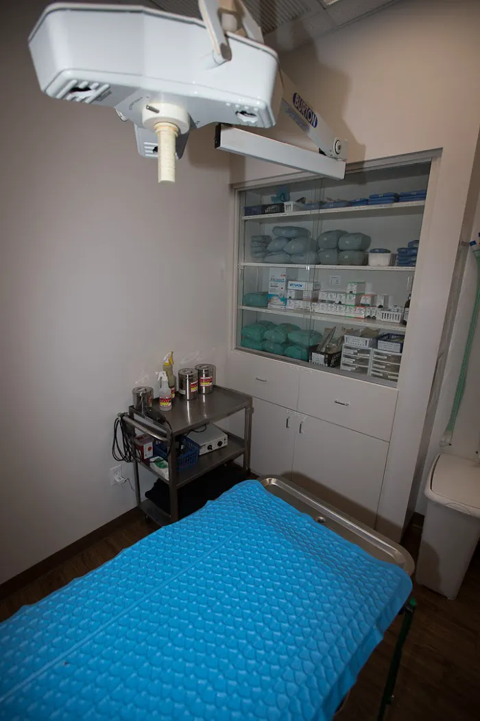 Jonesville Animal Hospital 7