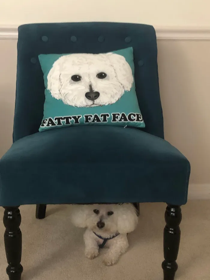 Tobias Veterinary Services 12