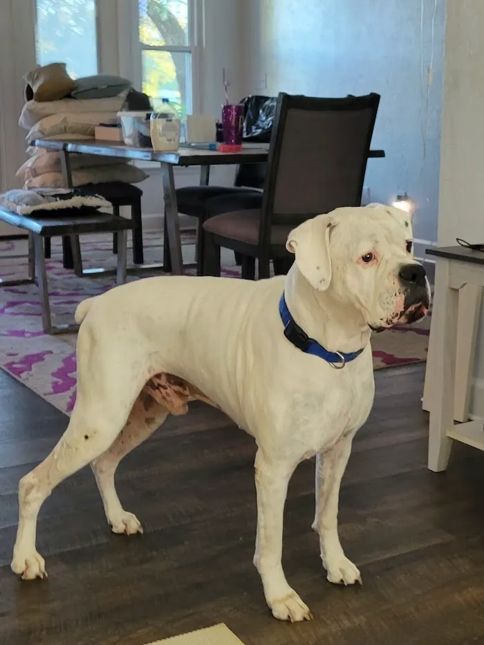 Tobias Veterinary Services 12