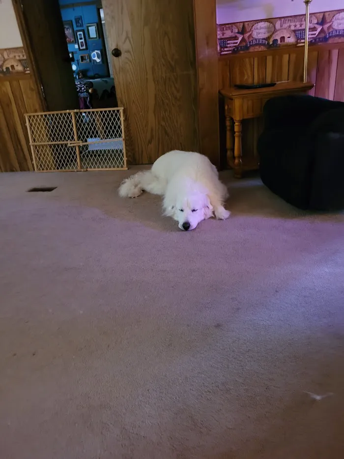 Tobias Veterinary Services 12