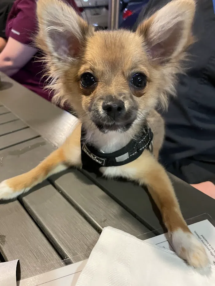 Newberry Animal Hospital 39th Ave. 12