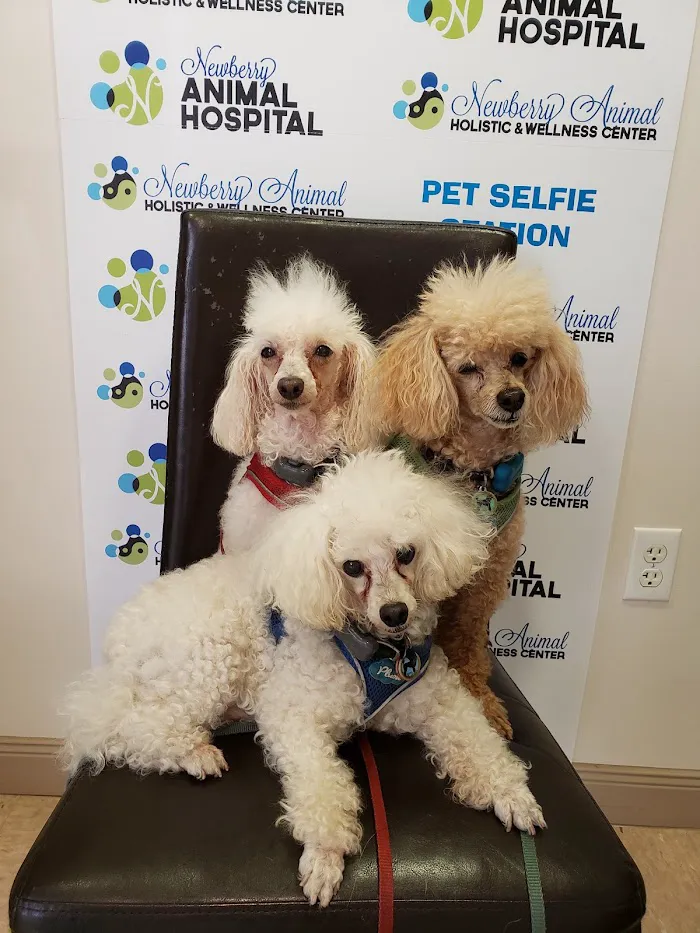 Newberry Animal Hospital 39th Ave. 12