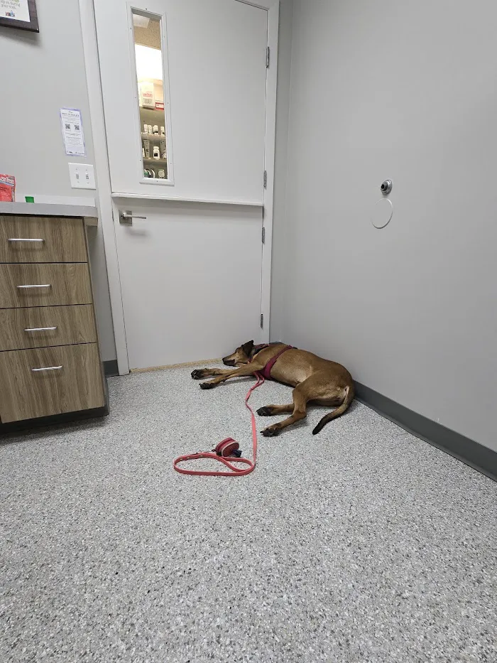 Newberry Animal Hospital 39th Ave. 12