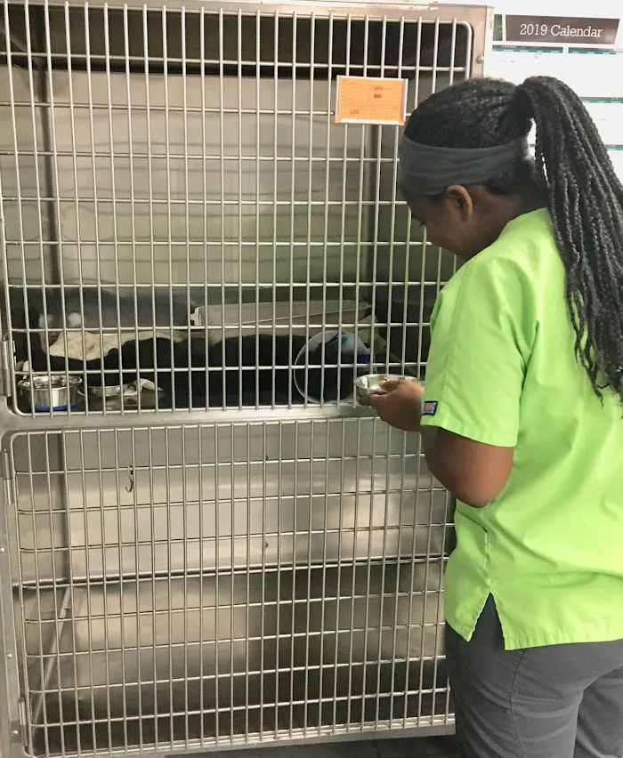 Gainesville Animal Hospital West 12