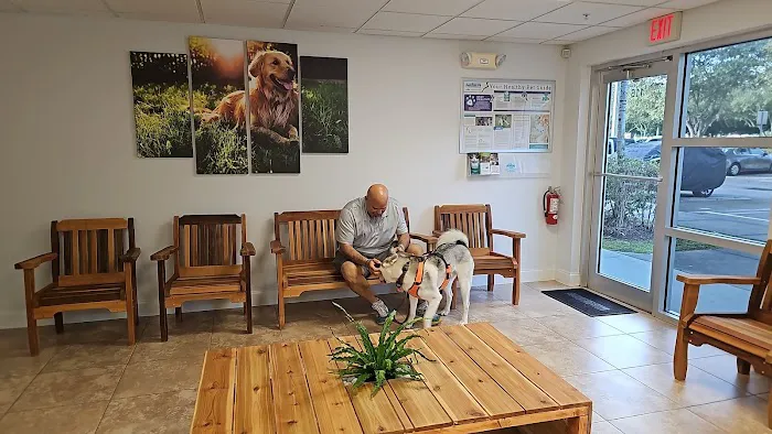 Martin Integrative Animal Clinic 12