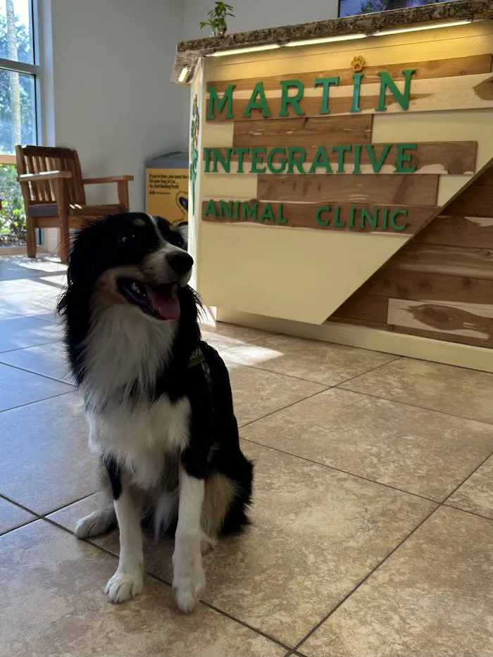 Martin Integrative Animal Clinic 12