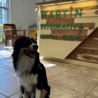 Martin Integrative Animal Clinic ico