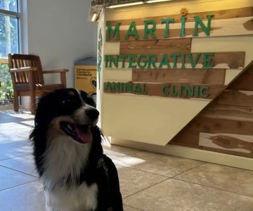 Martin Integrative Animal Clinic