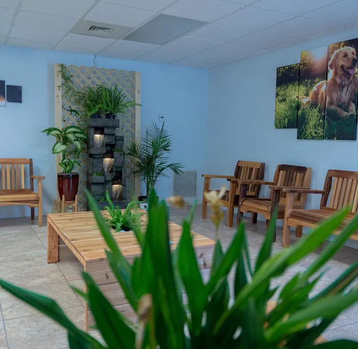 Martin Integrative Animal Clinic 12