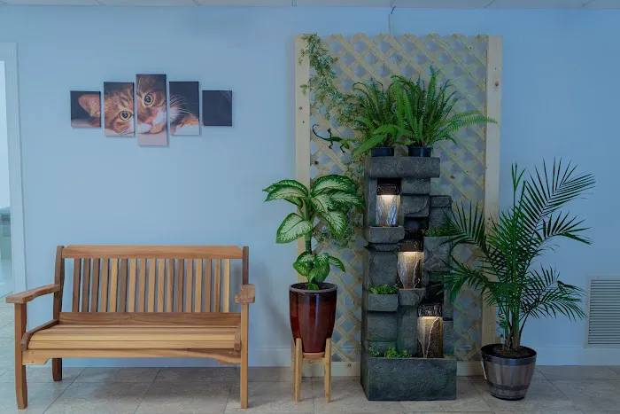 Martin Integrative Animal Clinic 12