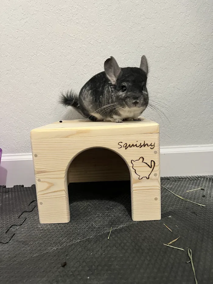 All Creatures Family Pet Center 12