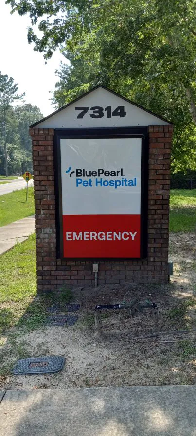 BluePearl Pet Hospital 1