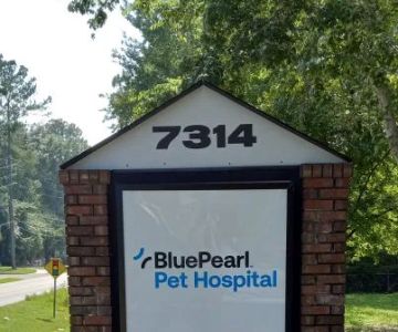 BluePearl Pet Hospital