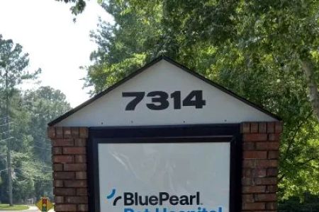 BluePearl Pet Hospital