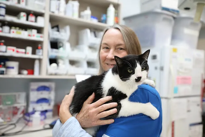 BluePearl Pet Hospital 2
