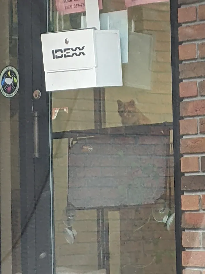 Oaks Veterinary Hospital 12