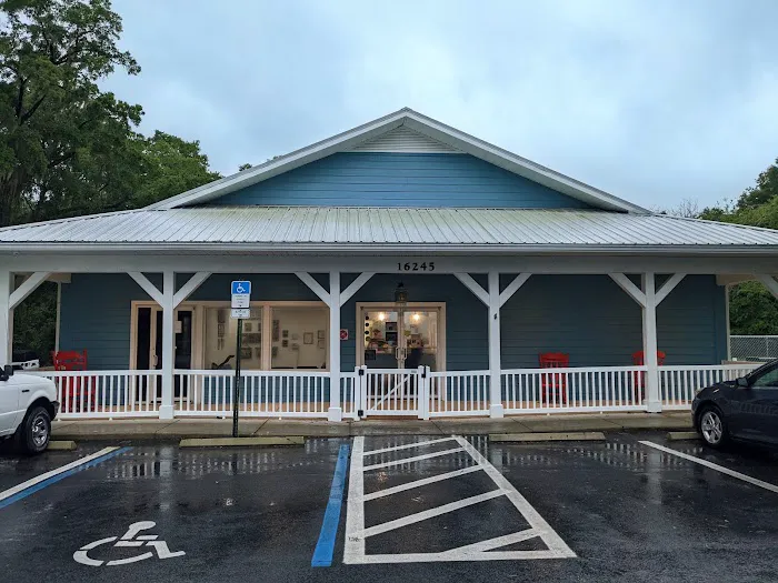 AVC - Animal Vet Clinic 12