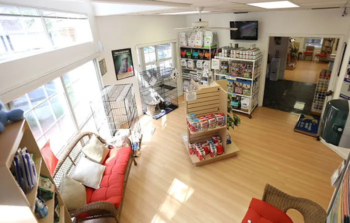 Haile Plantation Animal Clinic 4
