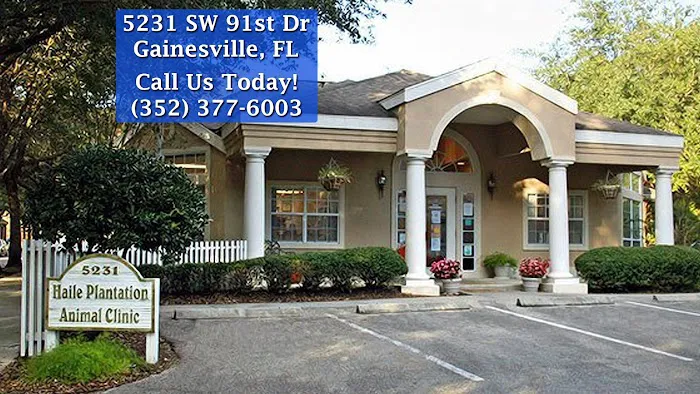 Haile Plantation Animal Clinic 1