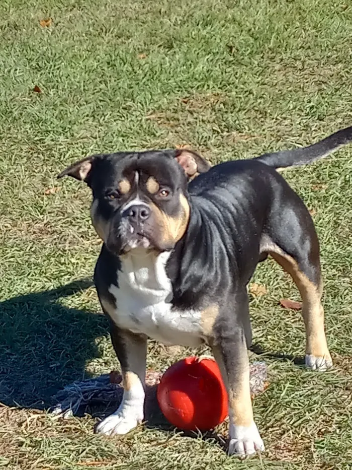 Banfield Pet Hospital 8