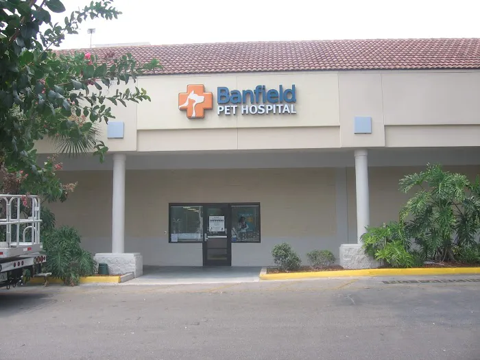 Banfield Pet Hospital 3