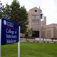 UF Veterinary Hospitals Veterinary Pharmacy ico
