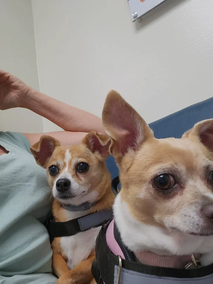 Banfield Pet Hospital 12