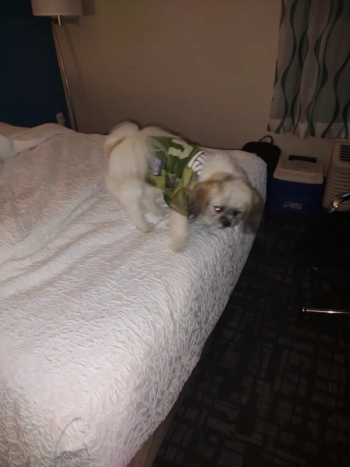Banfield Pet Hospital 12