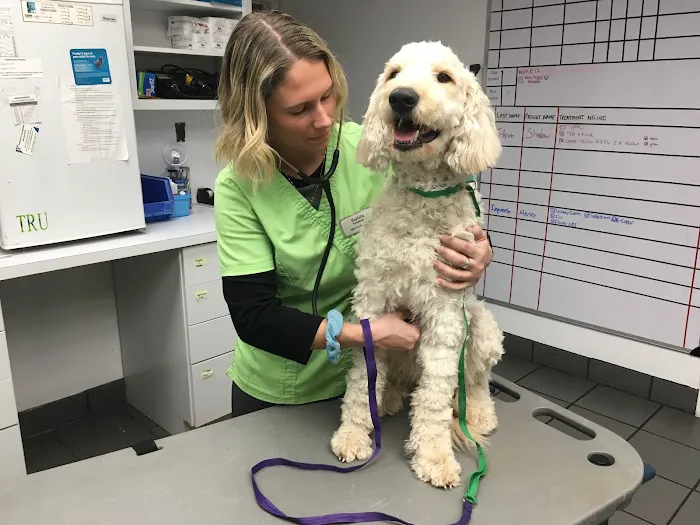 Gainesville Animal Hospital 12