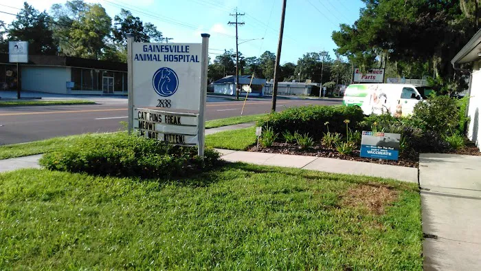 Gainesville Animal Hospital 12
