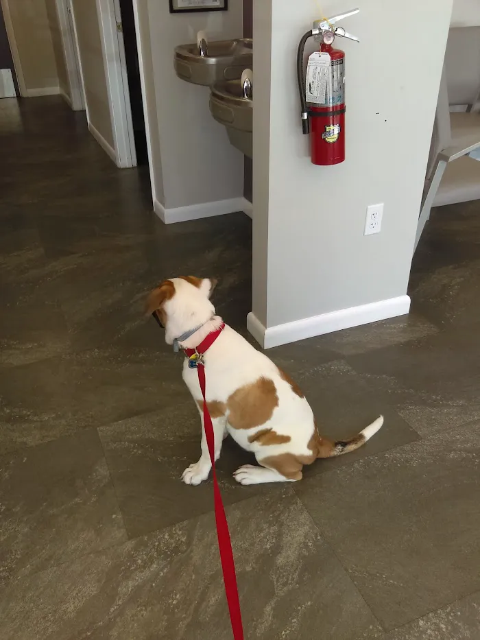 The Veterinary Center At Hunters Crossing 12