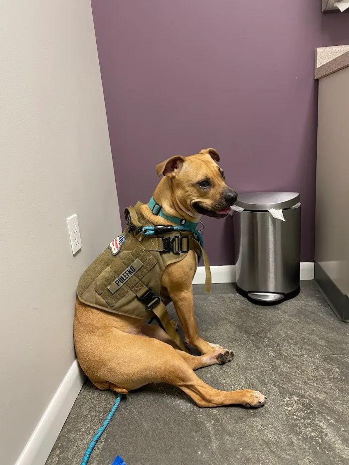 The Veterinary Center At Hunters Crossing 12