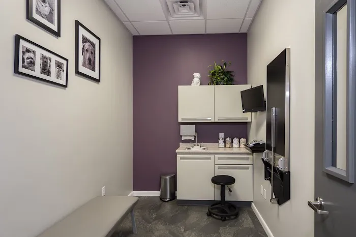 The Veterinary Center At Hunters Crossing 12