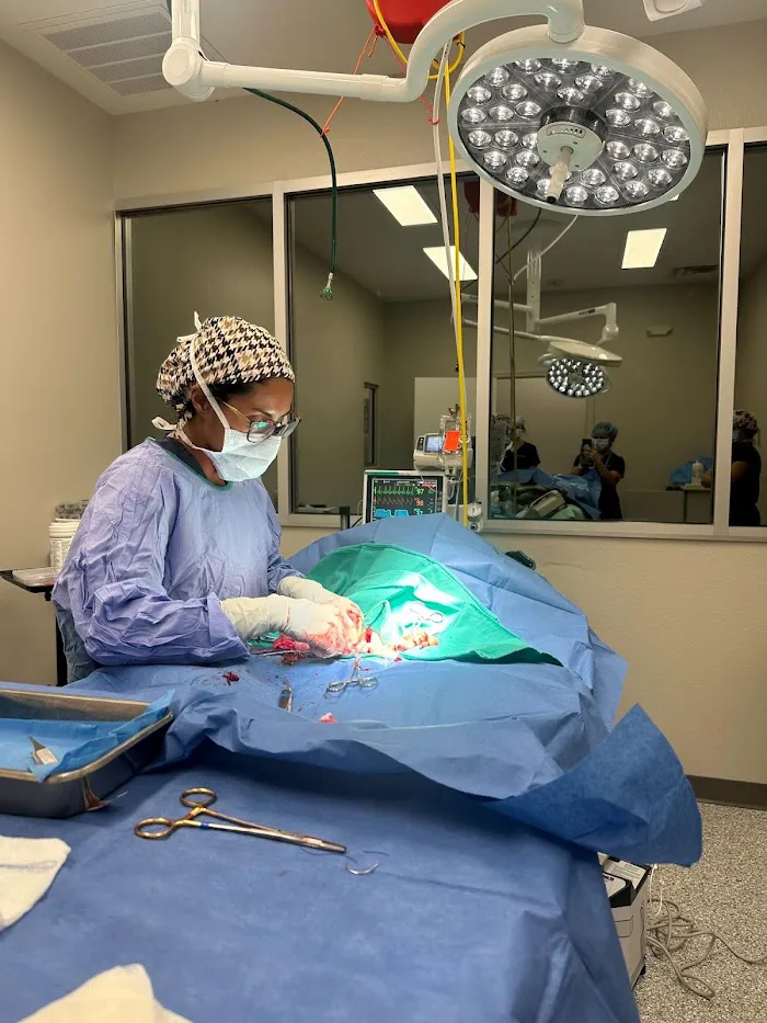Community Care Veterinary Specialists/ER 12