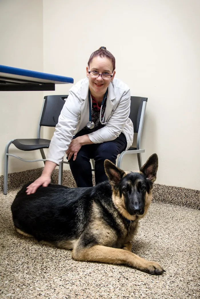 Shores Animal Hospital 12