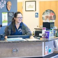 Shores Animal Hospital ico