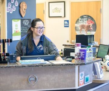 Shores Animal Hospital