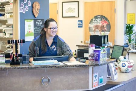 Shores Animal Hospital
