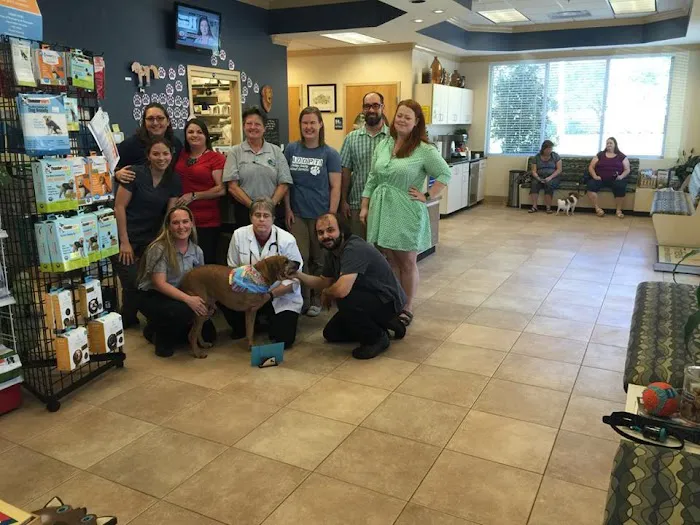 Shores Animal Hospital 12