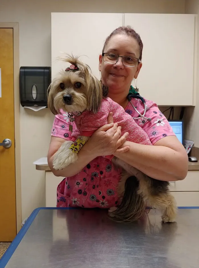Shores Animal Hospital 12