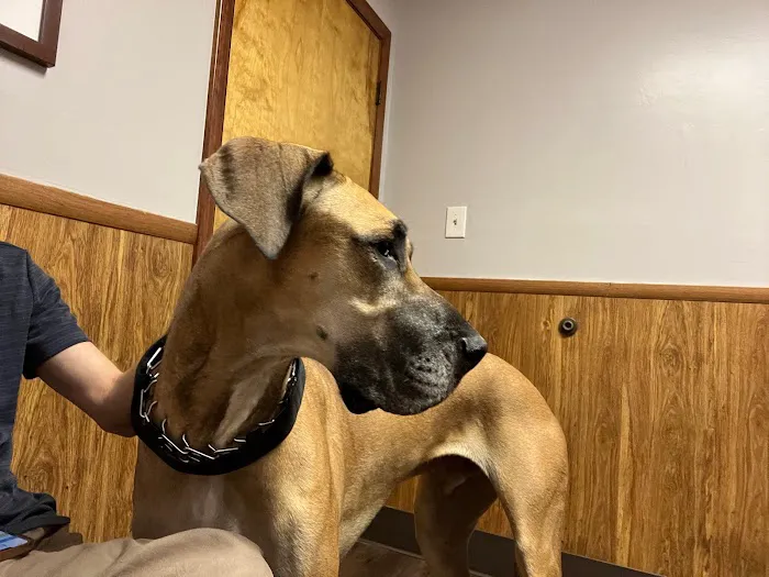 Suburban Animal Hospital 12