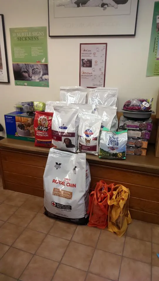 Northwood Oaks Veterinary Hospital 2