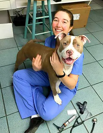Northwood Oaks Veterinary Hospital 7