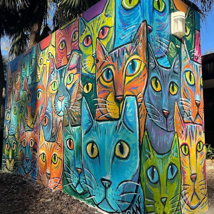 All Cats HealthCare Clinic 12