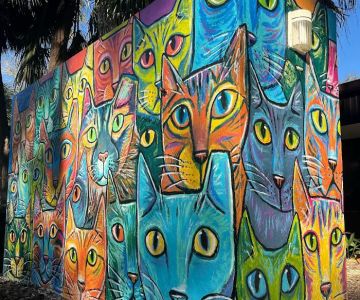 All Cats HealthCare Clinic