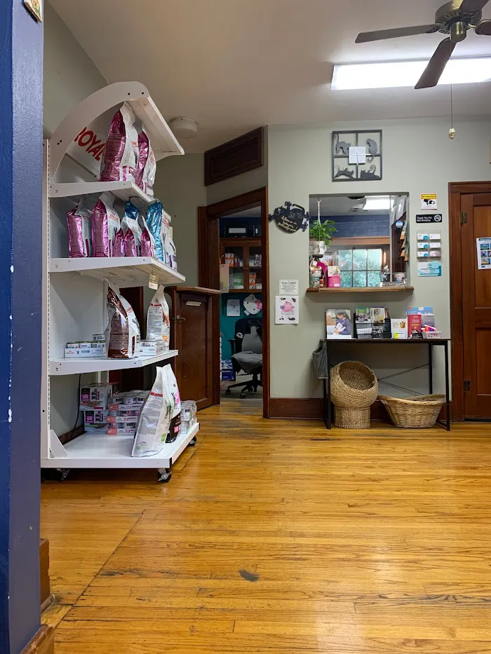 All Cats HealthCare Clinic 12