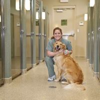 Town & Country Veterinarians and Pet Resort ico