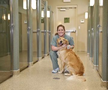 Town & Country Veterinarians and Pet Resort