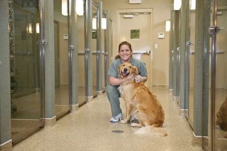 Town & Country Veterinarians and Pet Resort